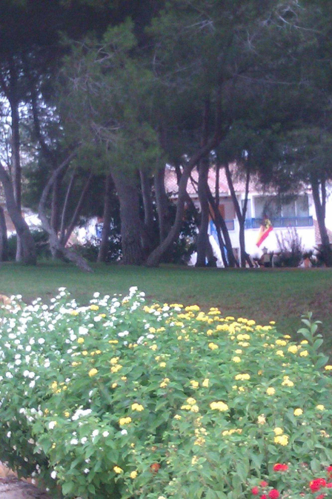 Torre de la Horadada Chalet Adosado En Riomar-3, Urbanizacion Residencial Privada מראה חיצוני תמונה